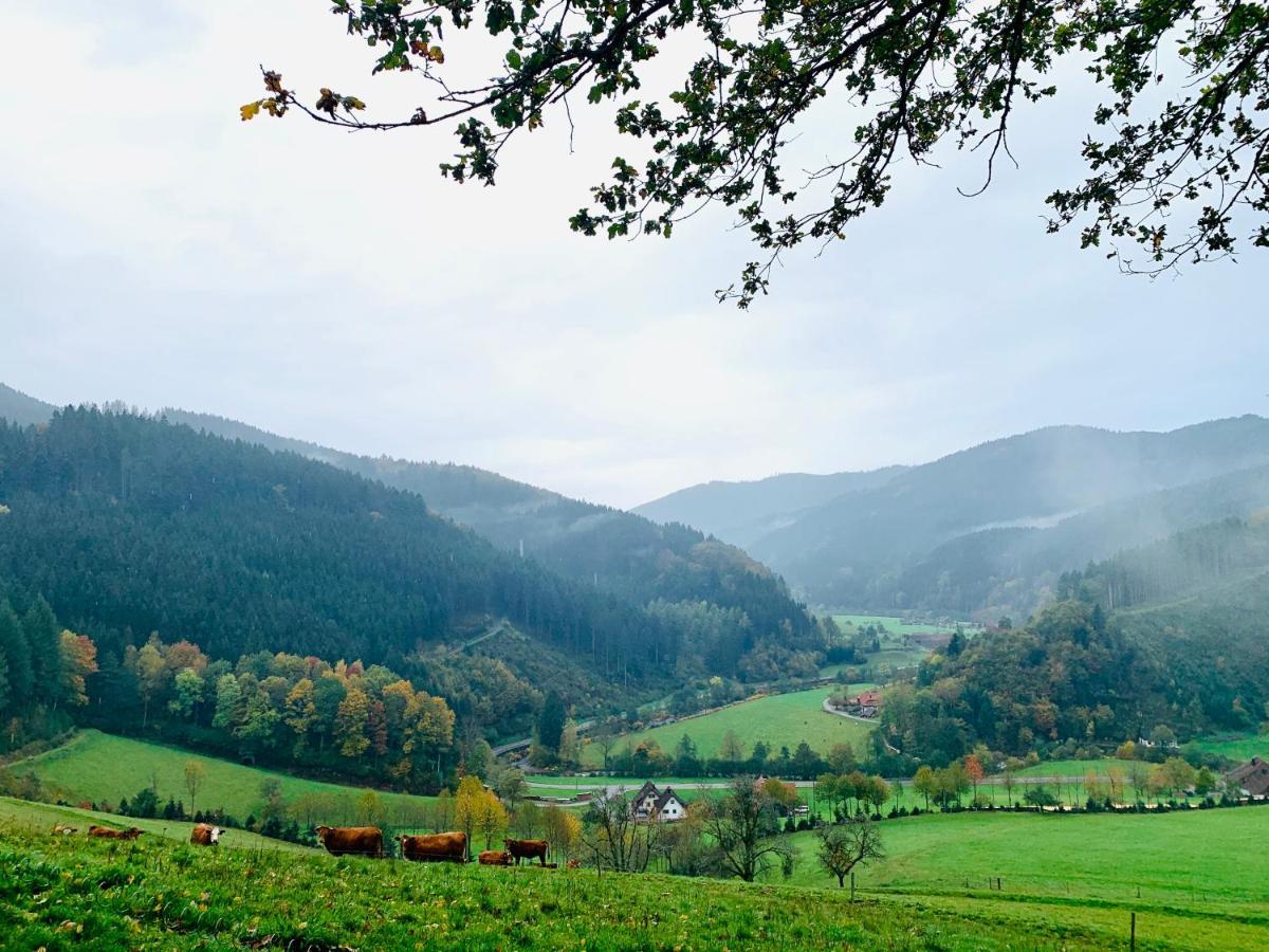 Landhotel Hirschen Oberwolfach Exteriér fotografie