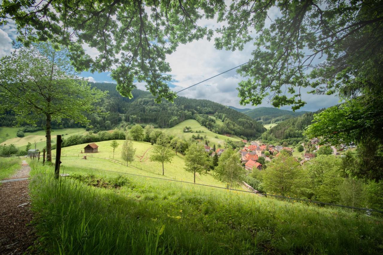 Landhotel Hirschen Oberwolfach Exteriér fotografie